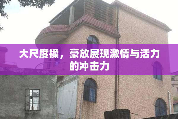 大尺度揉，豪放展现激情与活力的冲击力