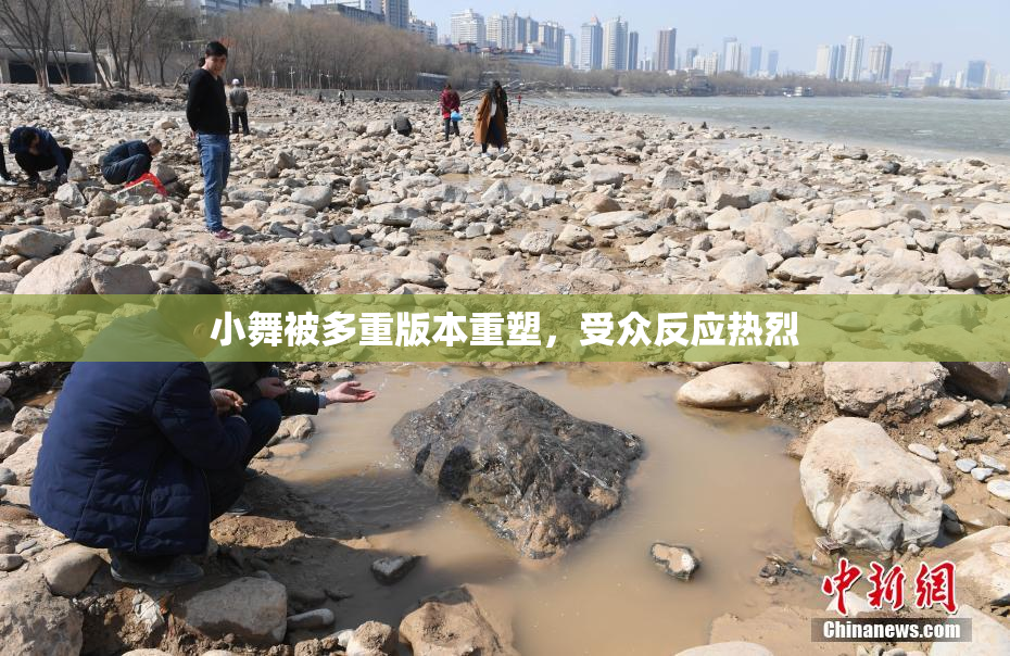 小舞被多重版本重塑，受众反应热烈