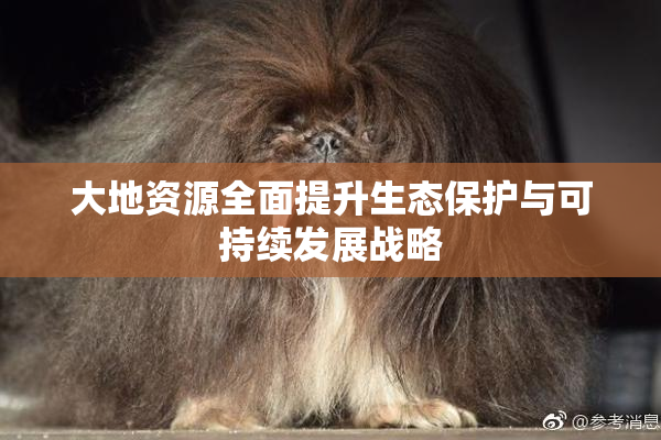 大地资源全面提升生态保护与可持续发展战略