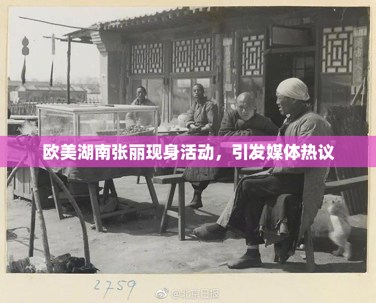 欧美湖南张丽现身活动，引发媒体热议