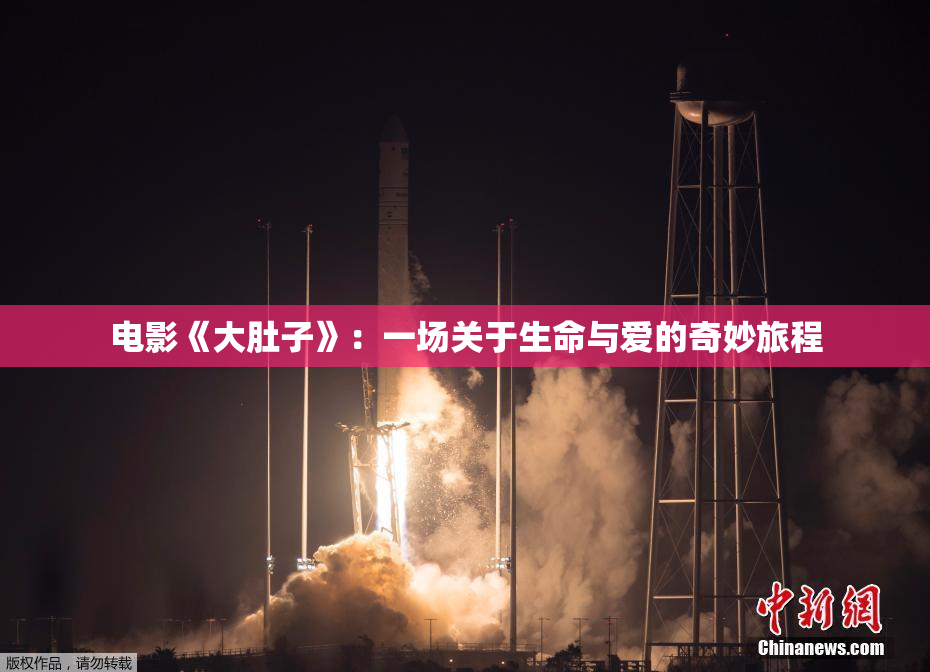 电影《大肚子》：一场关于生命与爱的奇妙旅程