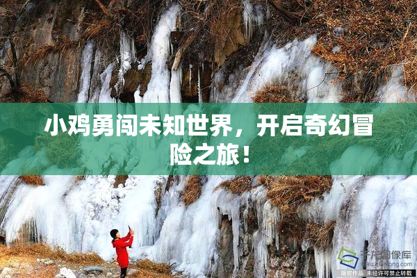 小鸡勇闯未知世界，开启奇幻冒险之旅！