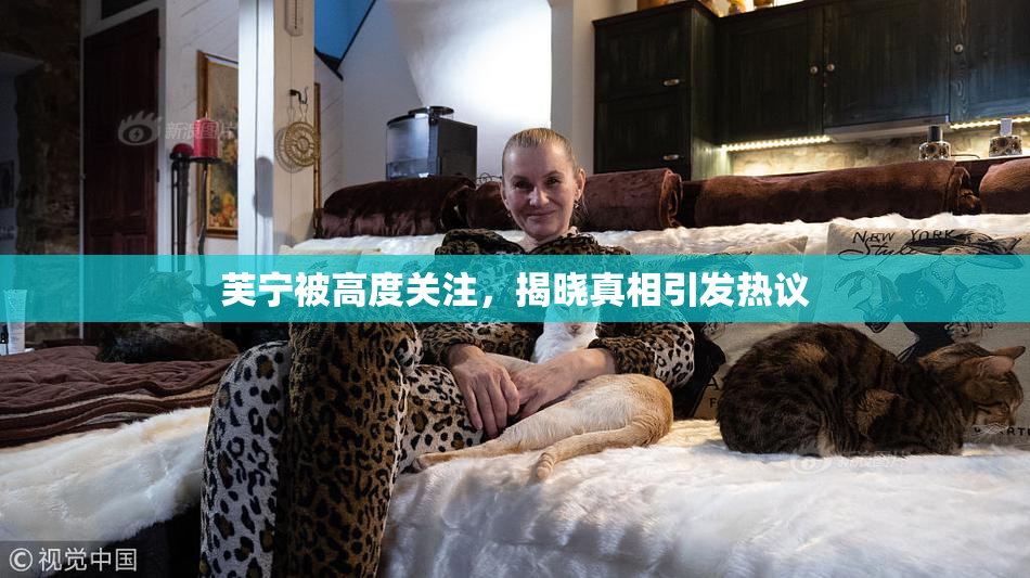 芙宁被高度关注，揭晓真相引发热议