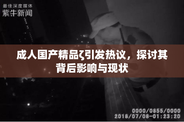 成人国产精品ζ引发热议，探讨其背后影响与现状