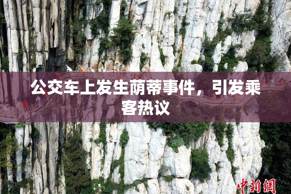 公交车上发生荫蒂事件，引发乘客热议