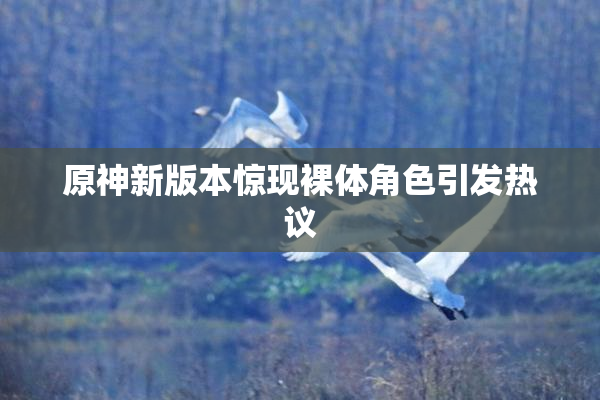 原神新版本惊现裸体角色引发热议