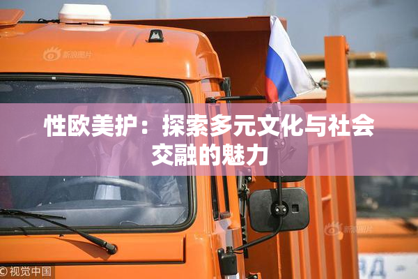 性欧美护：探索多元文化与社会交融的魅力