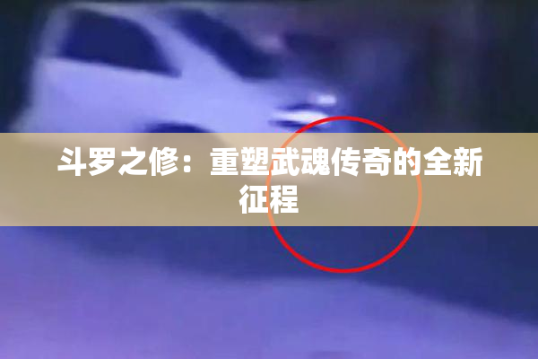 斗罗之修：重塑武魂传奇的全新征程