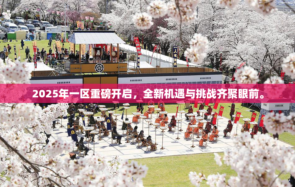 2025年一区重磅开启，全新机遇与挑战齐聚眼前。