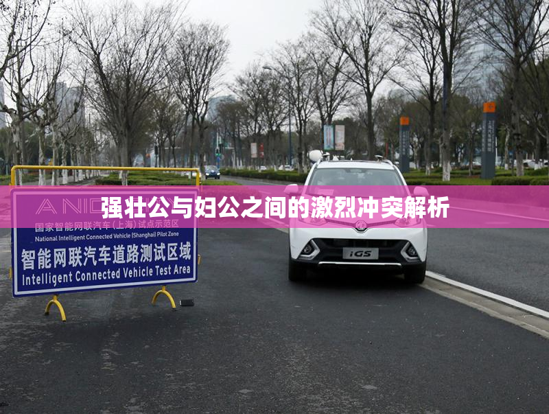 强壮公与妇公之间的激烈冲突解析