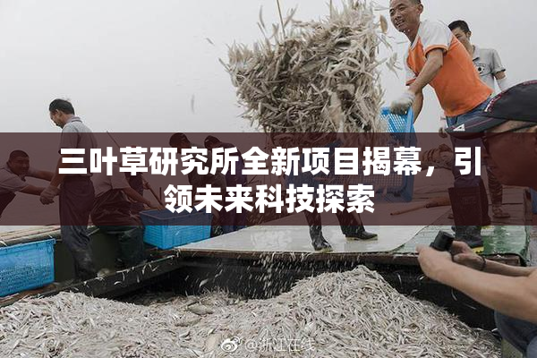 三叶草研究所全新项目揭幕，引领未来科技探索