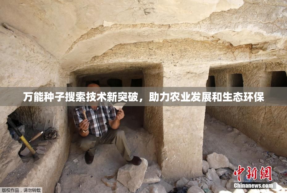 万能种子搜索技术新突破，助力农业发展和生态环保