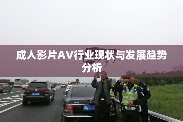 成人影片AV行业现状与发展趋势分析