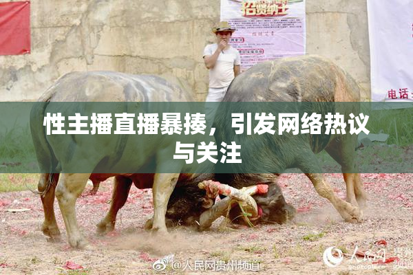 性主播直播暴揍，引发网络热议与关注