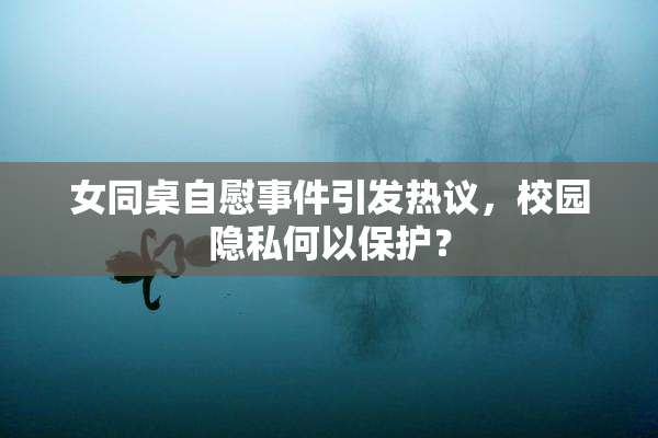 女同桌自慰事件引发热议，校园隐私何以保护？