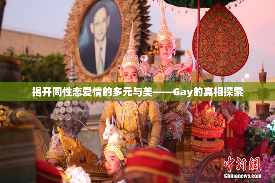 揭开同性恋爱情的多元与美——Gay的真相探索