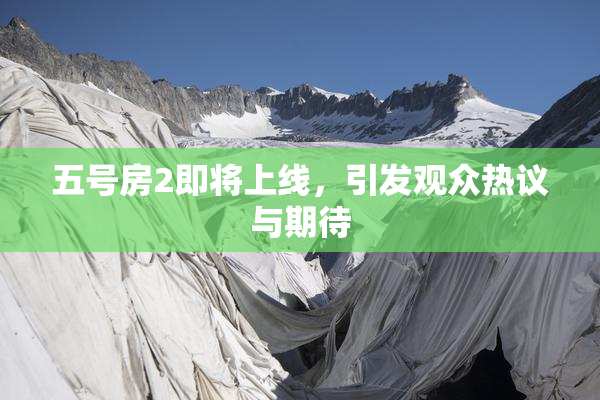 五号房2即将上线，引发观众热议与期待