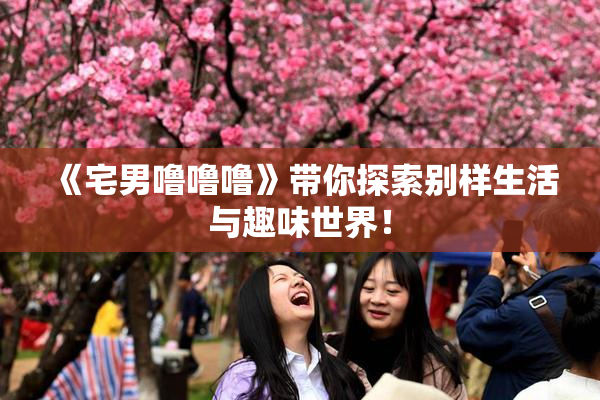 《宅男噜噜噜》带你探索别样生活与趣味世界！