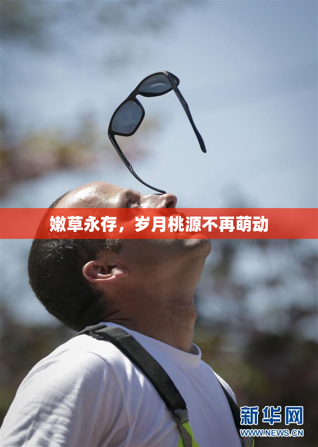 嫩草永存，岁月桃源不再萌动