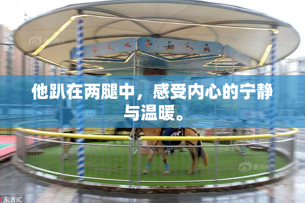他趴在两腿中，感受内心的宁静与温暖。