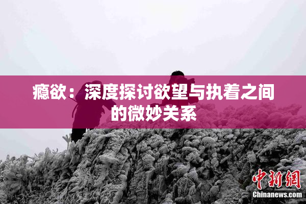 瘾欲：深度探讨欲望与执着之间的微妙关系