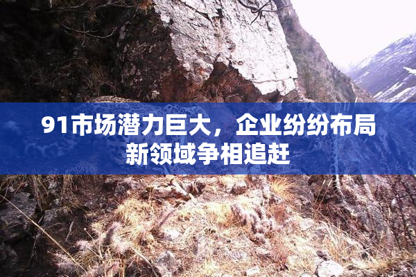 91市场潜力巨大，企业纷纷布局新领域争相追赶