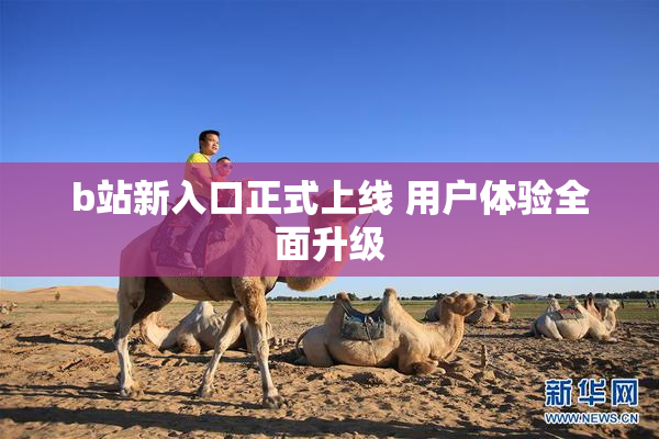 b站新入口正式上线 用户体验全面升级