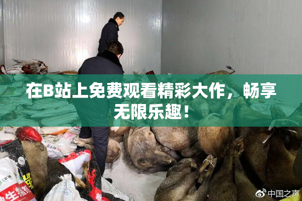 在B站上免费观看精彩大作，畅享无限乐趣！
