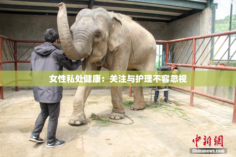 女性私处健康：关注与护理不容忽视