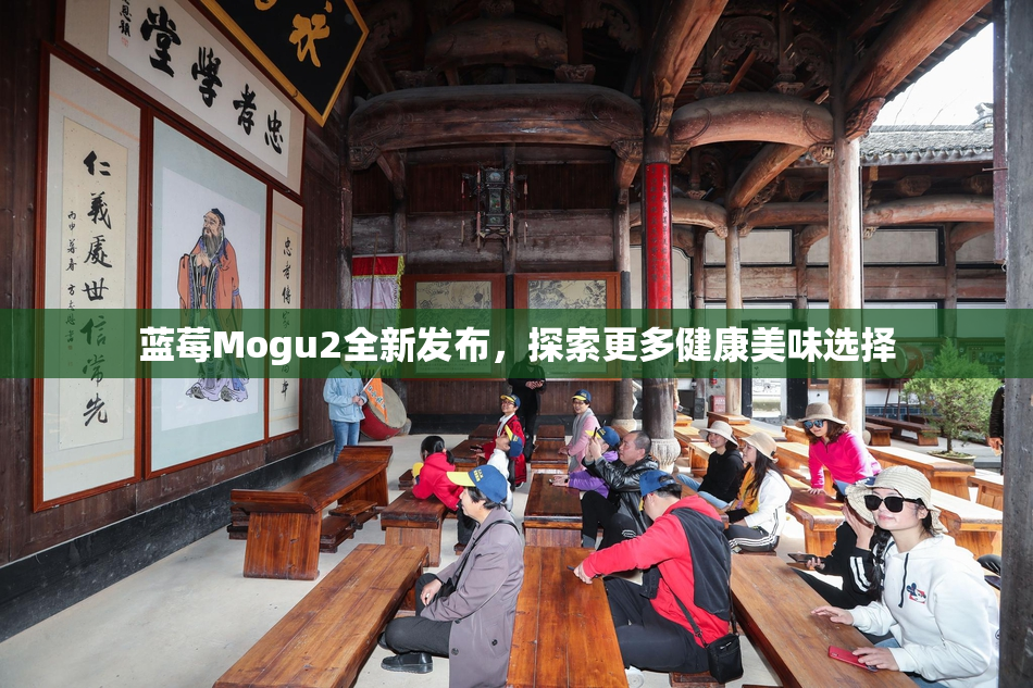 蓝莓Mogu2全新发布，探索更多健康美味选择