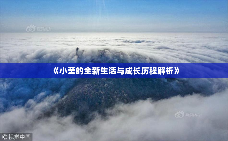 《小莹的全新生活与成长历程解析》