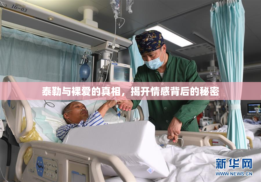 泰勒与裸爱的真相，揭开情感背后的秘密
