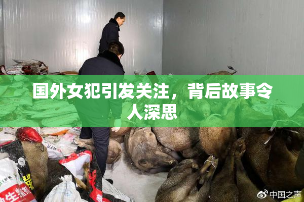 国外女犯引发关注，背后故事令人深思