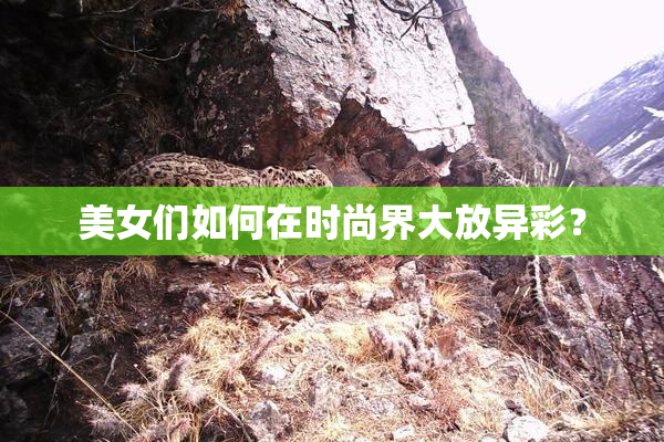 美女们如何在时尚界大放异彩？