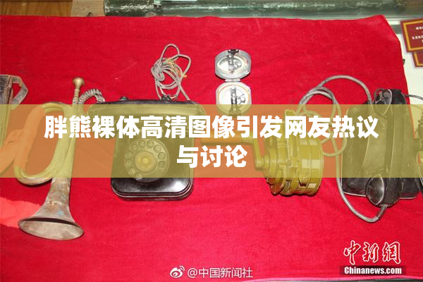 胖熊裸体高清图像引发网友热议与讨论