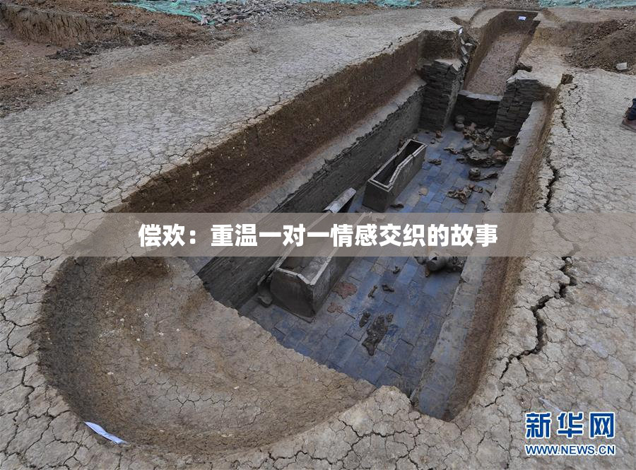 偿欢：重温一对一情感交织的故事