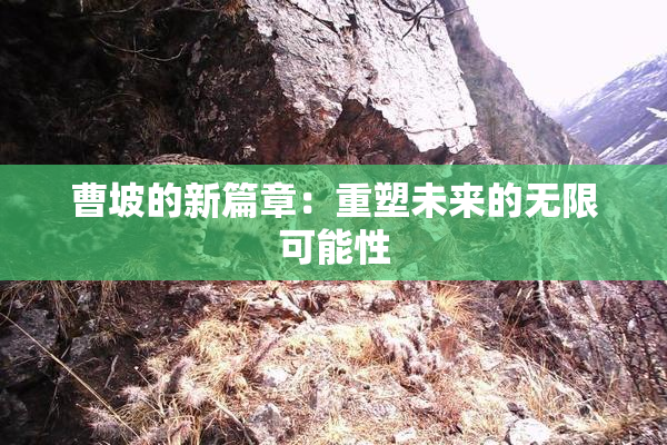 曹坡的新篇章：重塑未来的无限可能性