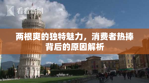 两根爽的独特魅力，消费者热捧背后的原因解析