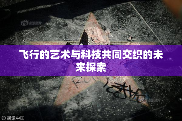 飞行的艺术与科技共同交织的未来探索