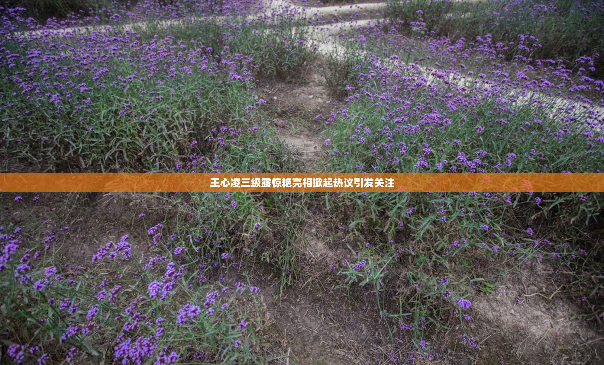 王心凌三级露惊艳亮相掀起热议引发关注