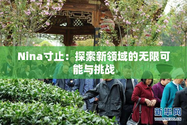 Nina寸止：探索新领域的无限可能与挑战