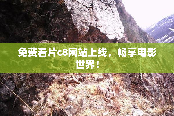 免费看片c8网站上线，畅享电影世界！