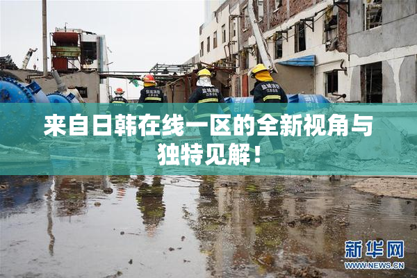 来自日韩在线一区的全新视角与独特见解！