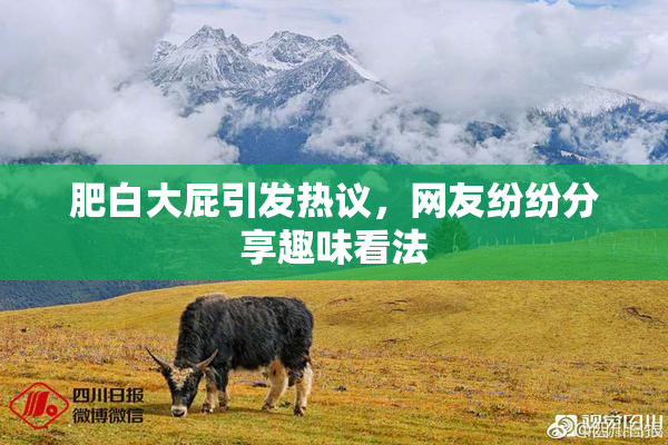 肥白大屁引发热议，网友纷纷分享趣味看法