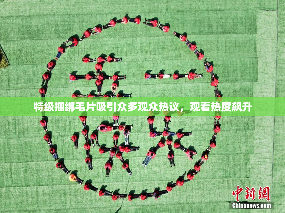 特级捆绑毛片吸引众多观众热议，观看热度飙升