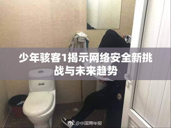 少年骇客1揭示网络安全新挑战与未来趋势