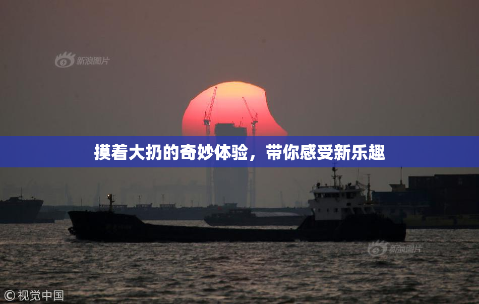 摸着大扔的奇妙体验，带你感受新乐趣