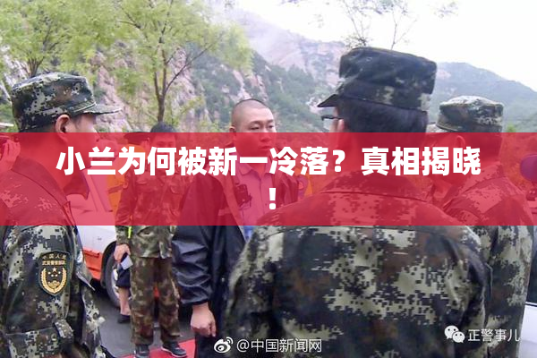 小兰为何被新一冷落？真相揭晓！