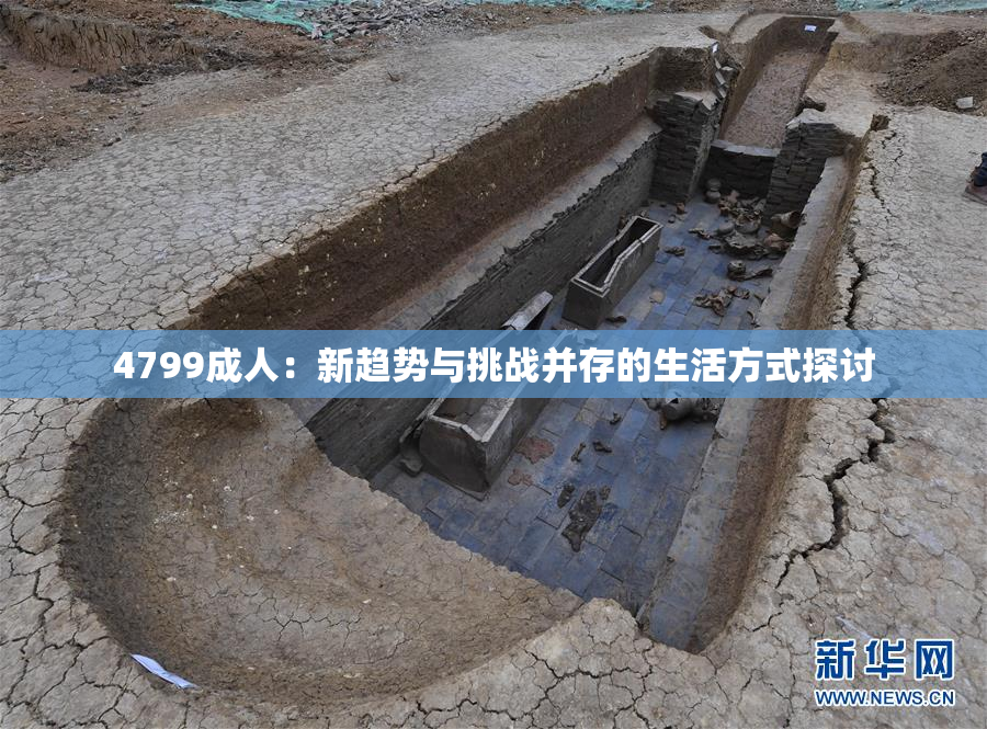 4799成人：新趋势与挑战并存的生活方式探讨