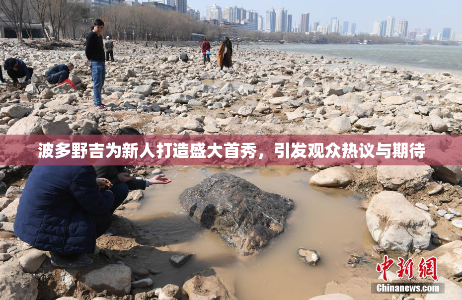 波多野吉为新人打造盛大首秀，引发观众热议与期待